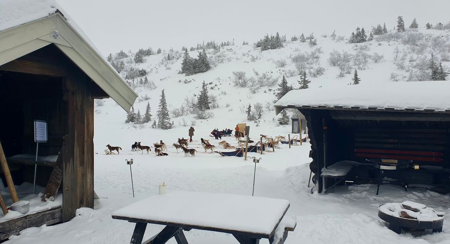 Zweden Nieuw 48 Zweden Nieuw 48